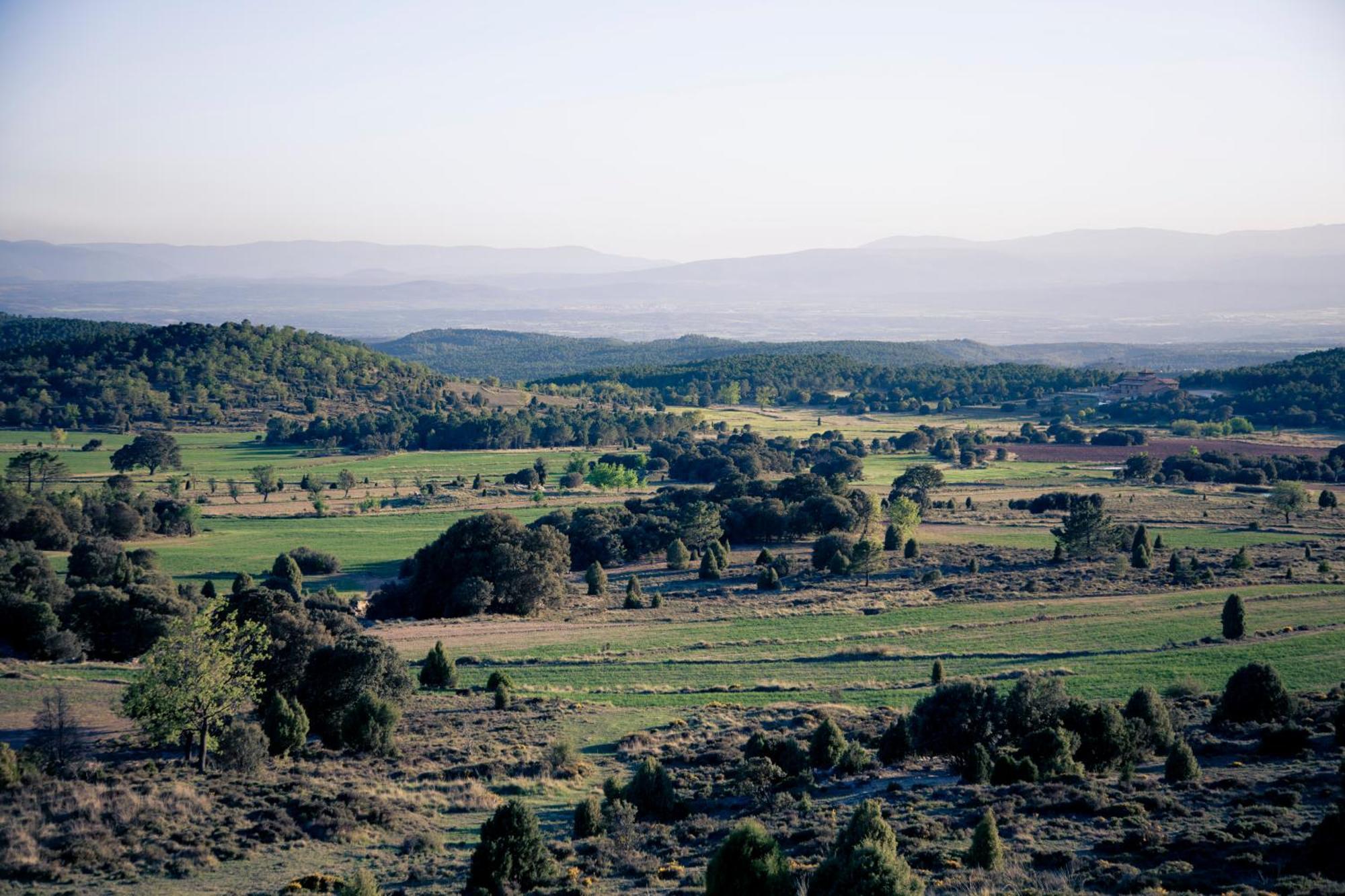 Hotel Restaurante Masia La Torre Mora de Rubielos Eksteriør bilde